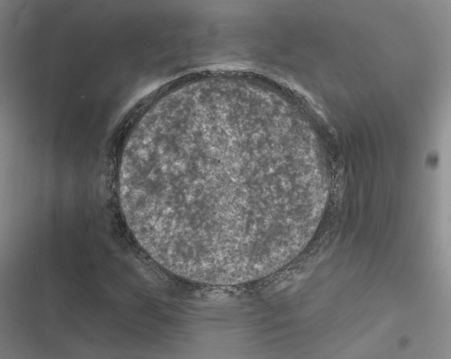 X0000116451255201001191545
