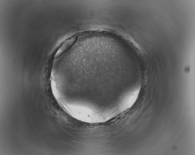 X0000116451256201001191545