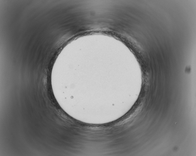 X0000116451257201001191545