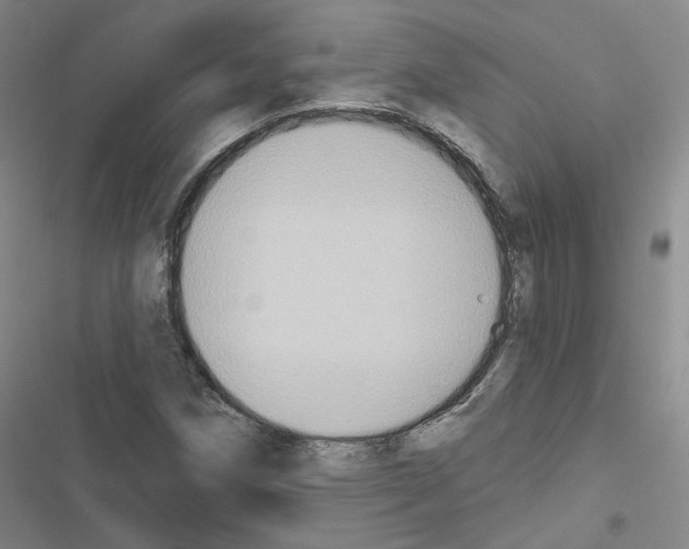 X0000116451258201001191545