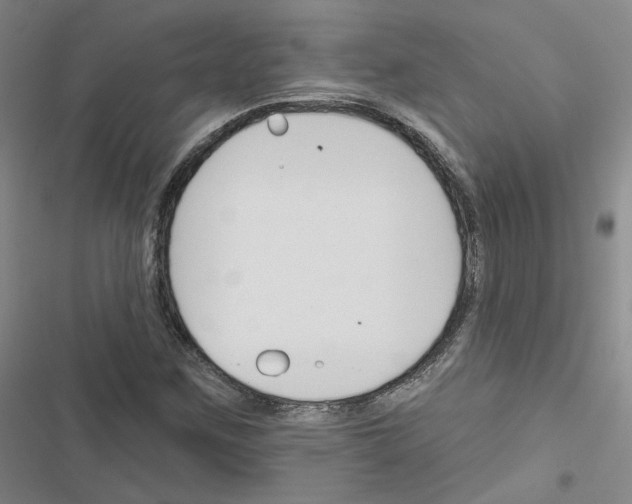 X0000116451259201001191545