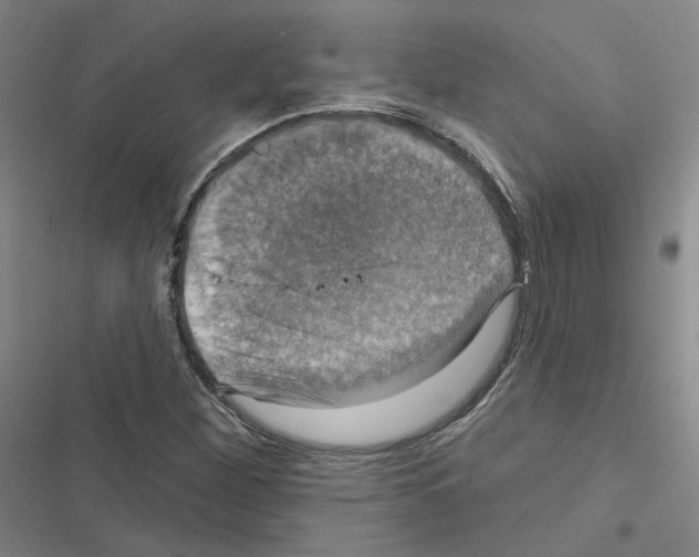 X0000116451260201001191545