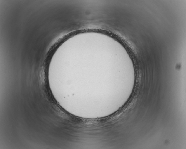 X0000116451262201001191545