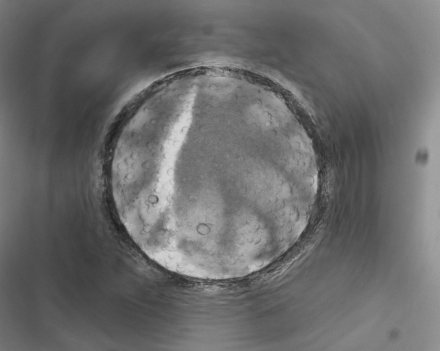 X0000116451263201001191545