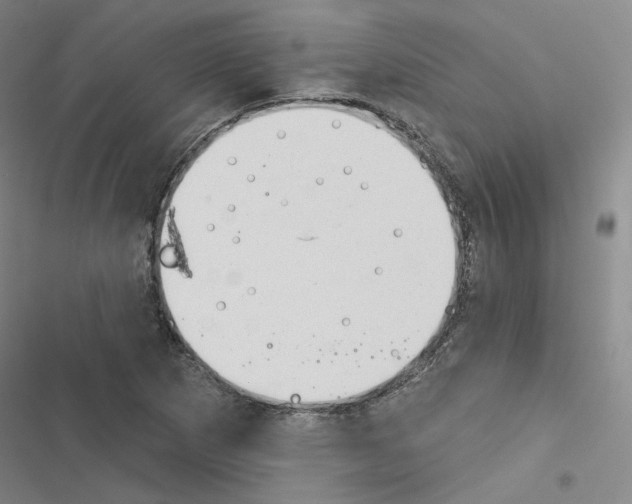 X0000116451265201001191545