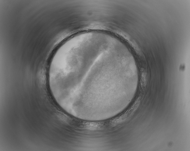 X0000116451266201001191545