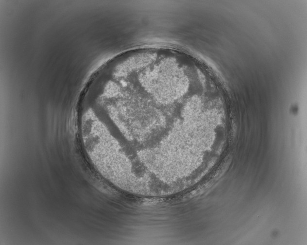 X0000116451267201001191545