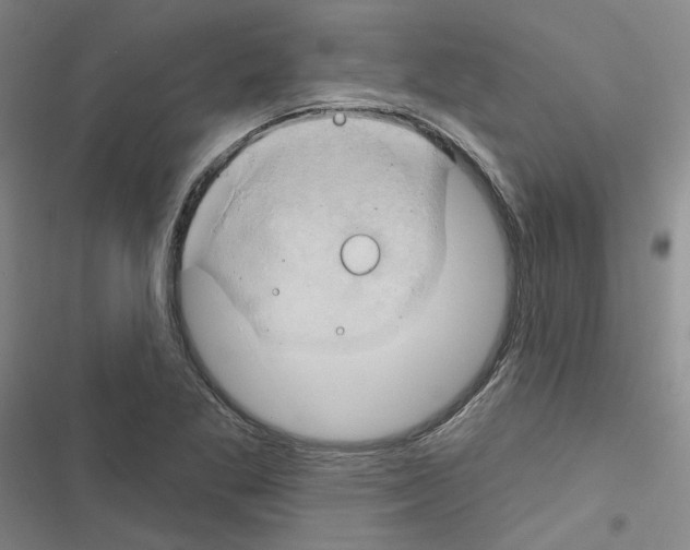 X0000116451269201001191545