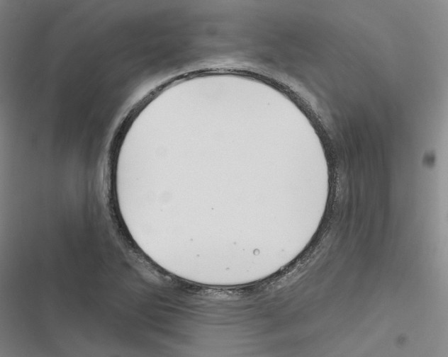 X0000116451270201001191545