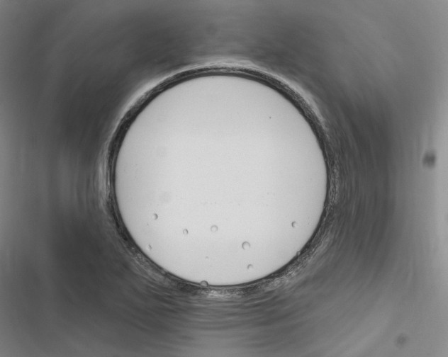 X0000116451271201001191545