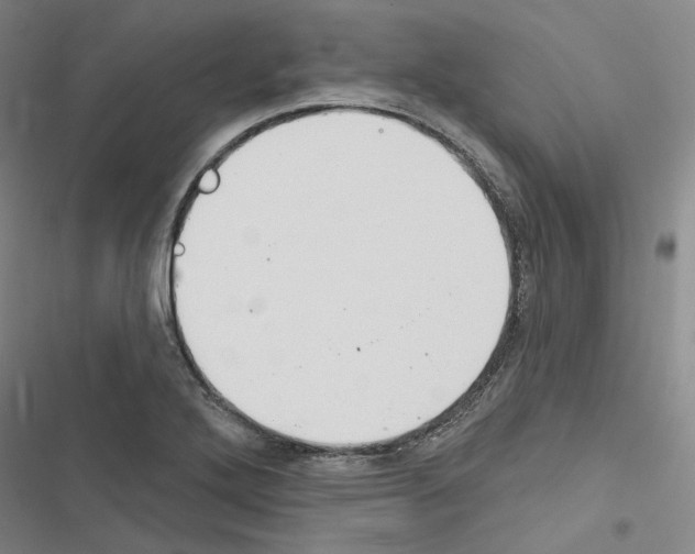 X0000116451272201001191545