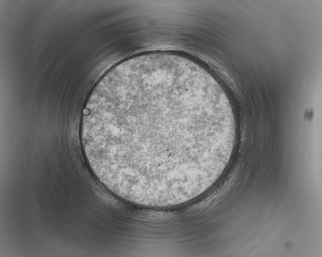 X0000116451273201001191545