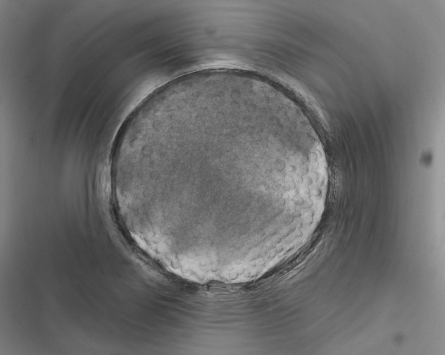 X0000116451274201001191545