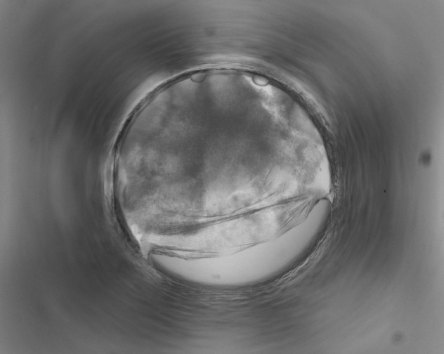 X0000116451275201001191545