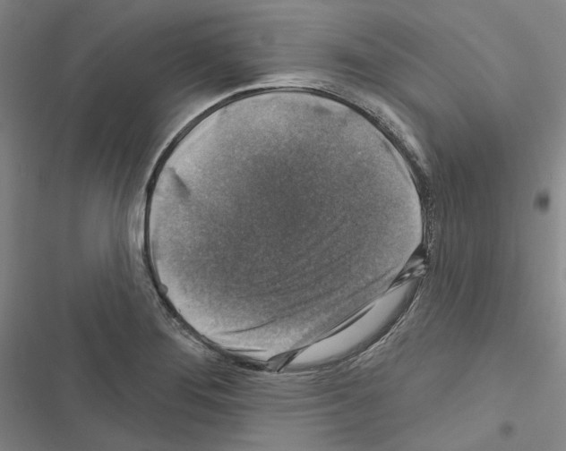 X0000116451276201001191545