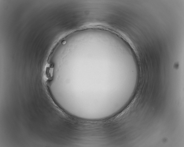 X0000116451277201001191545