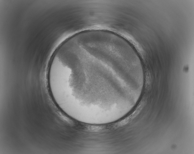 X0000116451278201001191545