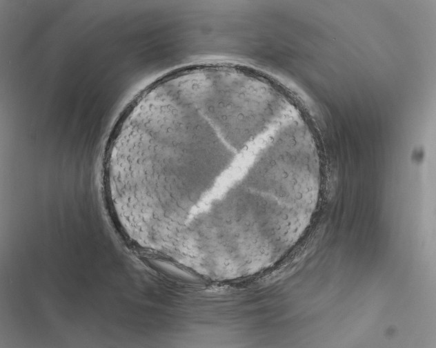 X0000116451279201001191545