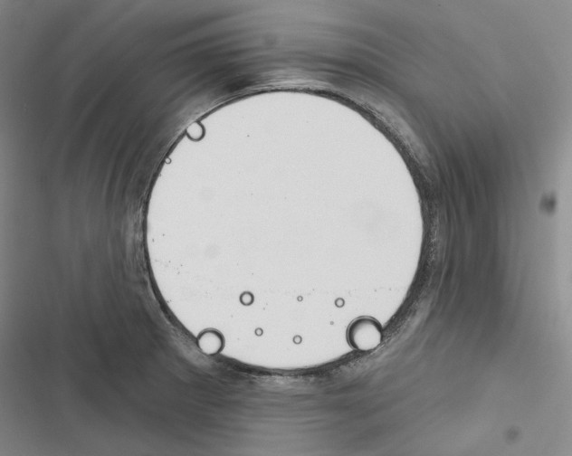 X0000116451281201001191545