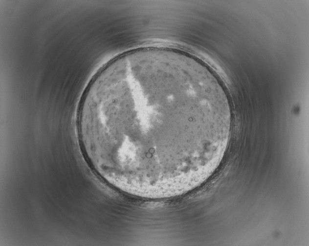 X0000116451283201001191545