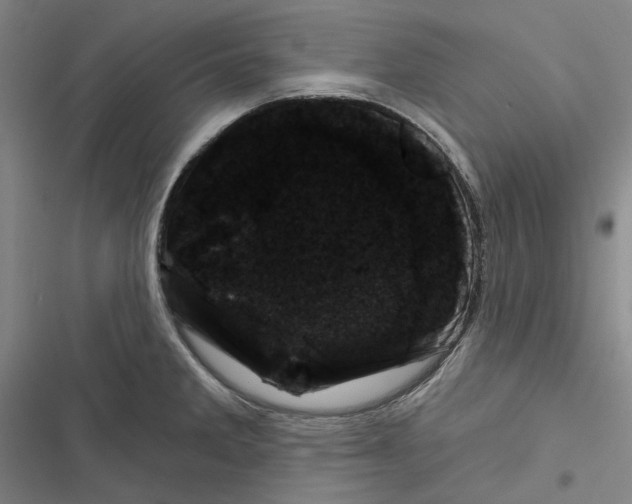 X0000116451285201001191545