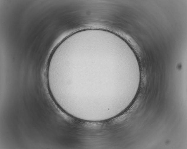X0000116451286201001191545
