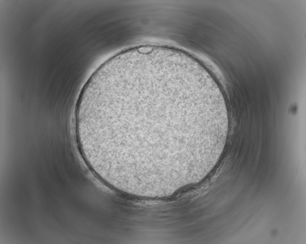 X0000116451287201001191545