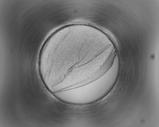 X0000116451288201001191545