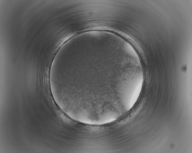 X0000116451289201001191545