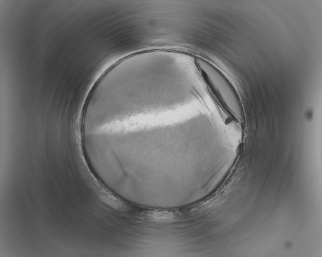 X0000116451291201001191545