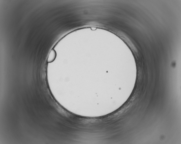 X0000116451292201001191545