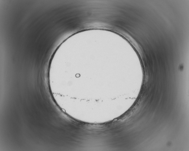 X0000116451293201001191545