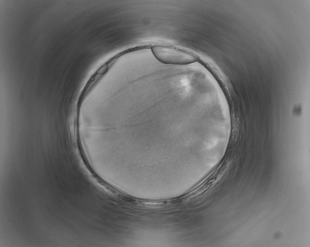 X0000116451295201001191545