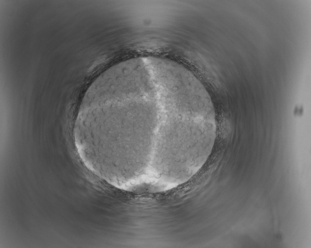 X0000116451297201001191544