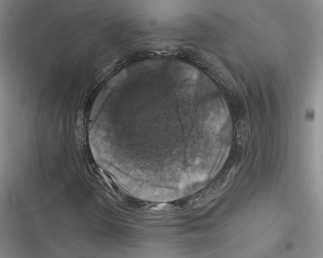 X0000116451298201001191544