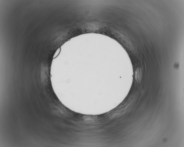 X0000116451299201001191544