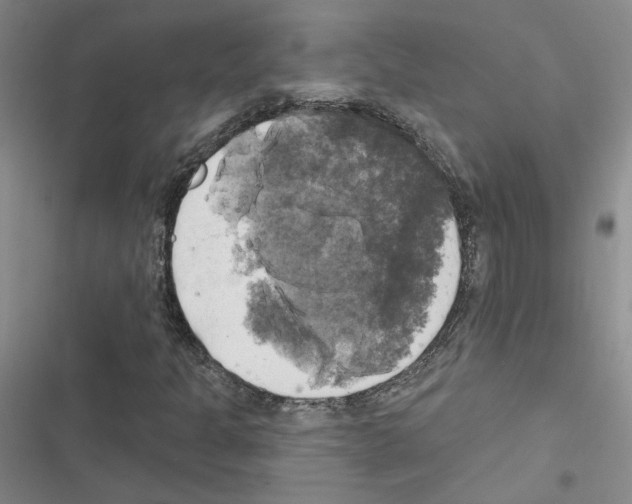 X0000116451301201001191544