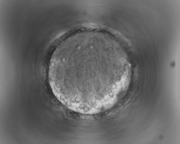 X0000116451302201001191544