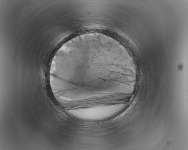 X0000116451305201001191544