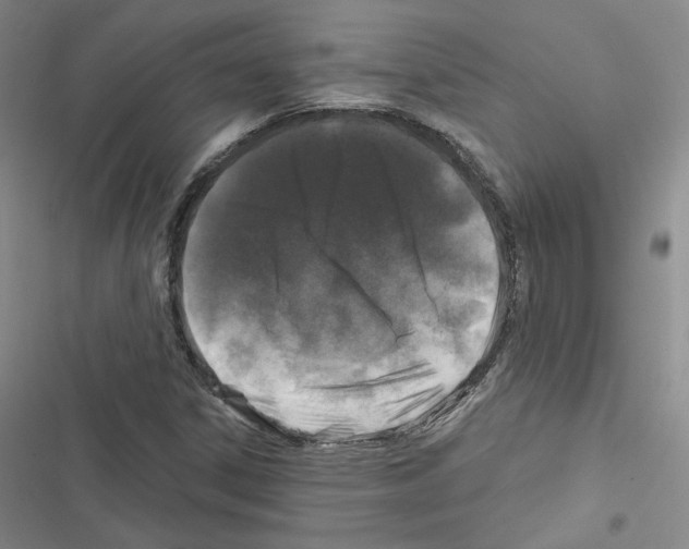 X0000116451306201001191544