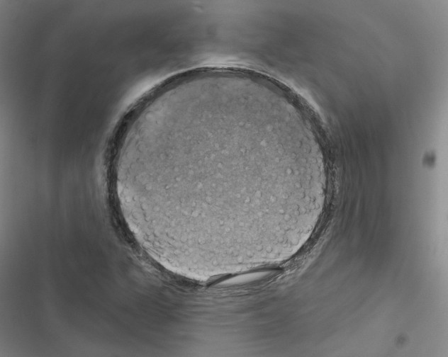X0000116451311201001191544