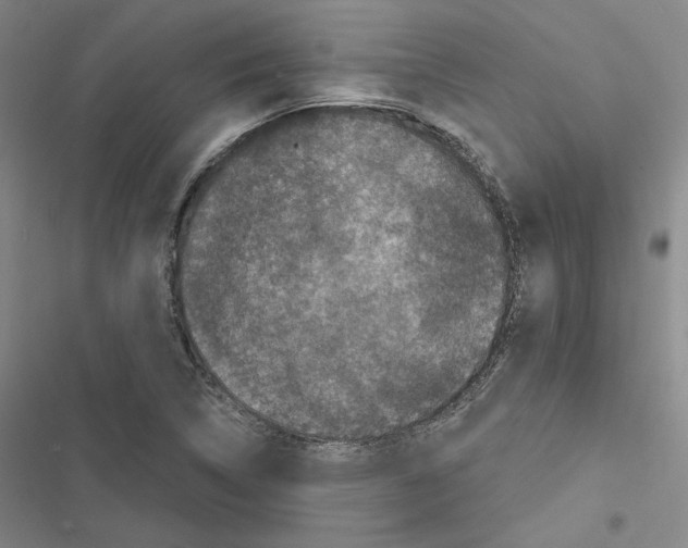 X0000116451314201001191544