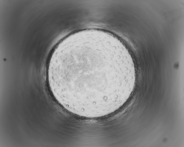 X0000116451317201001191544