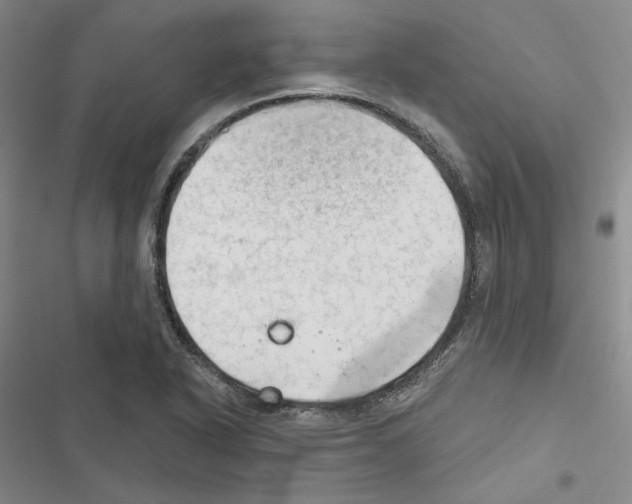 X0000116451318201001191544