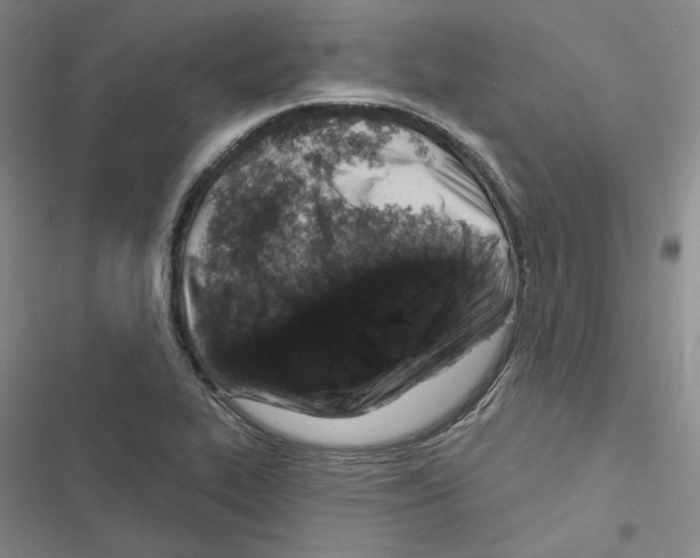 X0000116451319201001191544