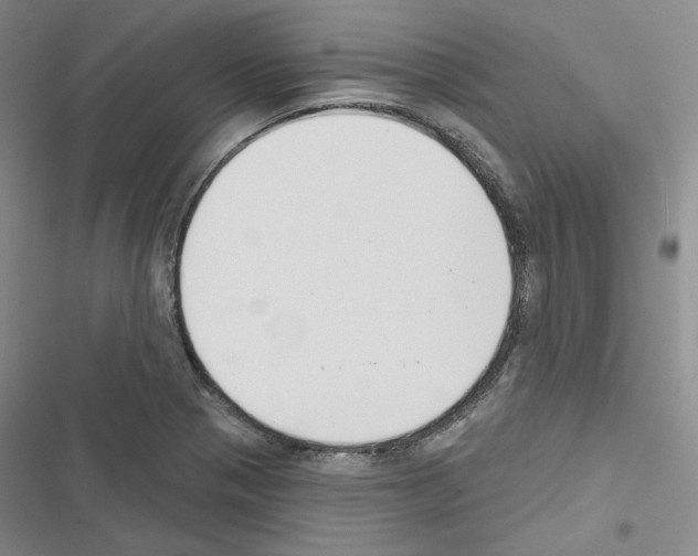 X0000116451321201001191544