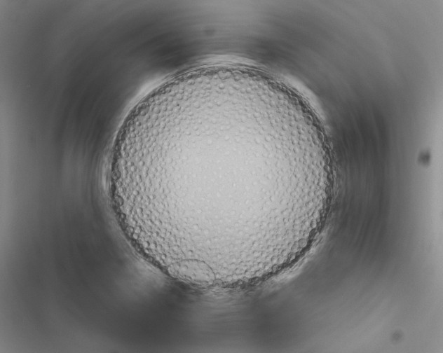 X0000116451322201001191544