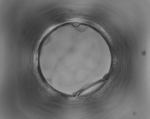 X0000116451323201001191544