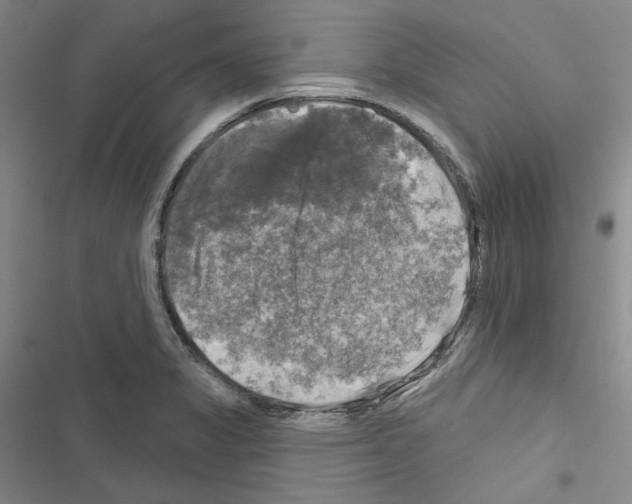 X0000116451325201001191544