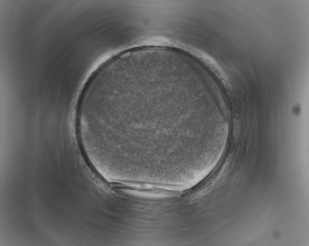 X0000116451326201001191544
